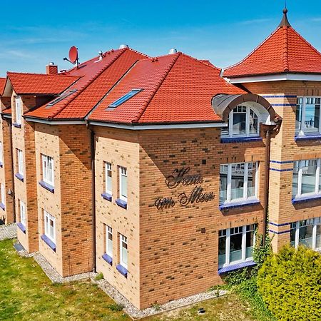 Ferienwohnung Mit Traumhaftem Meerblick - Haus Am Meer Fewo 01 Lohme Extérieur photo