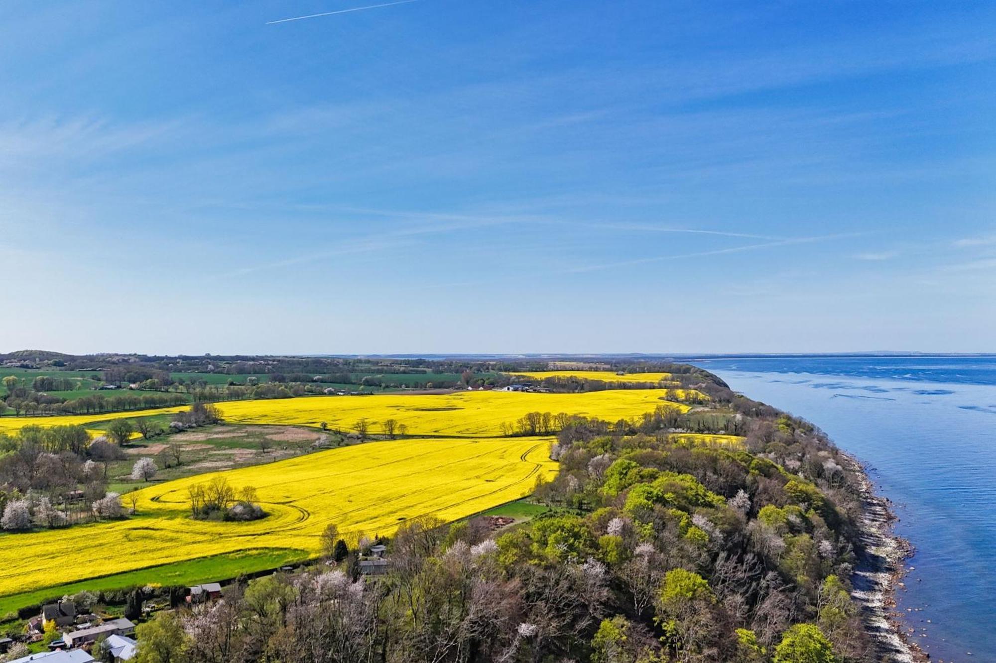 Ferienwohnung Mit Traumhaftem Meerblick - Haus Am Meer Fewo 01 Lohme Extérieur photo